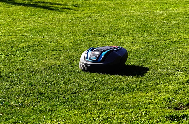 autonomous mobile robot AMR