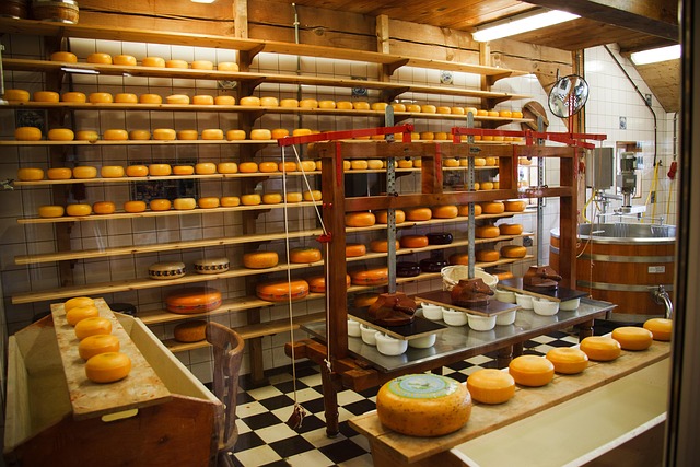 food manufacturing plant