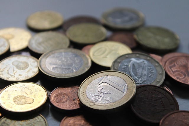foreign exchange reserves