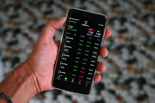 investment portfolio