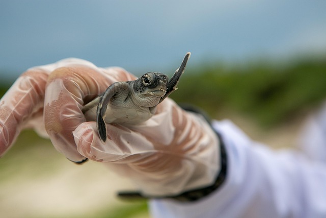 marine environment protection