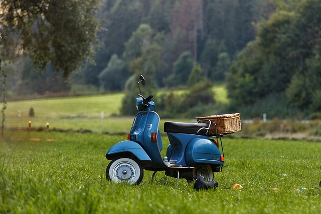 green mobility
