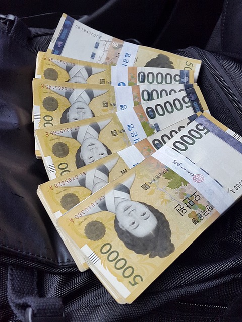 korean won currency
