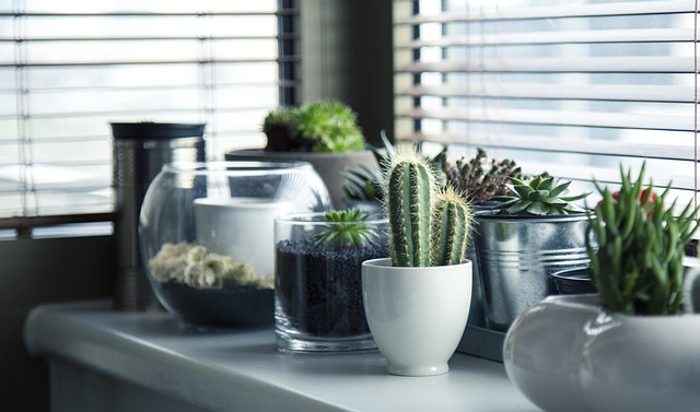 potted plants on wooden shelf balcony