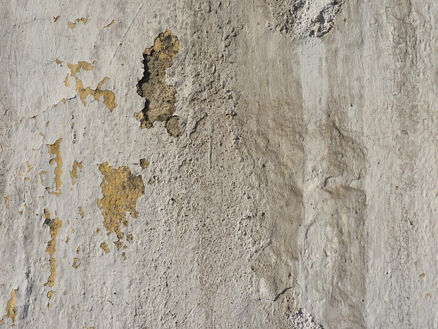 peel and stick wallpaper accent wall