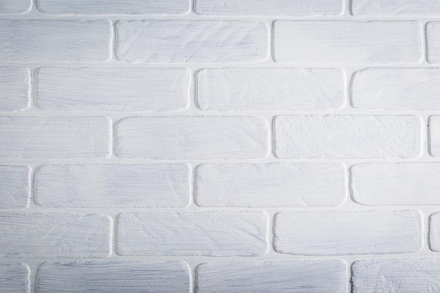 matte textured accent wall paint sample