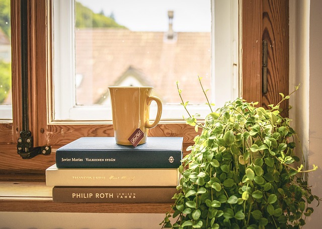 small apartment corner plant near window